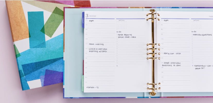 Overhead view of one Harmony Colorful Daily LifePlannerBinder and an open LifePlannerBinder